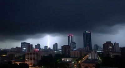 article-20260217204751