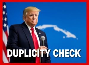 article-20260217224731